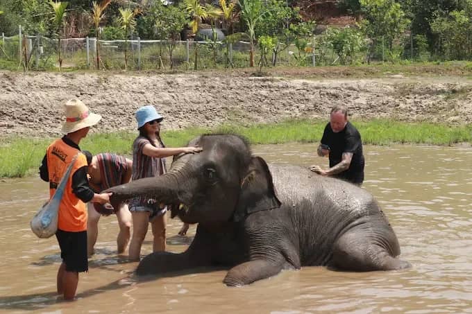 Trekking Doi Inthanon National Park With Elephant Sanctuary - photo 2