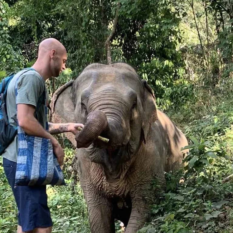 Walking with Elephants (Elephant Nature Park) - photo 4