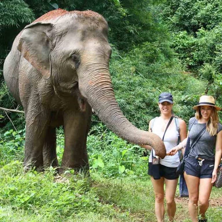 Walking with Elephants (Elephant Nature Park) - photo 5