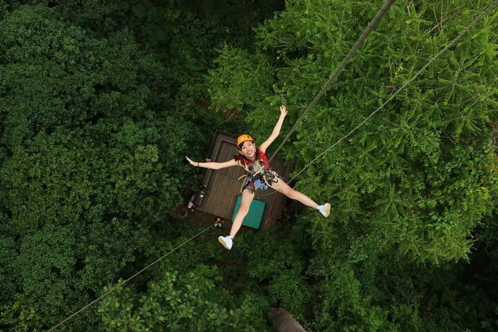 Zipline Short Course